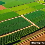 세무사와 농지 세금 신고 - A detailed aerial view of a large rural property in Brazil during the dry season, showcasing diverse...