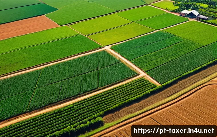 세무사와 농지 세금 신고 - A detailed aerial view of a large rural property in Brazil during the dry season, showcasing diverse...